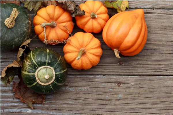 南瓜什么時(shí)候成熟 南瓜是什么季節(jié)的蔬菜