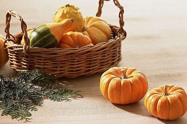 南瓜圖片大全 南瓜簡介