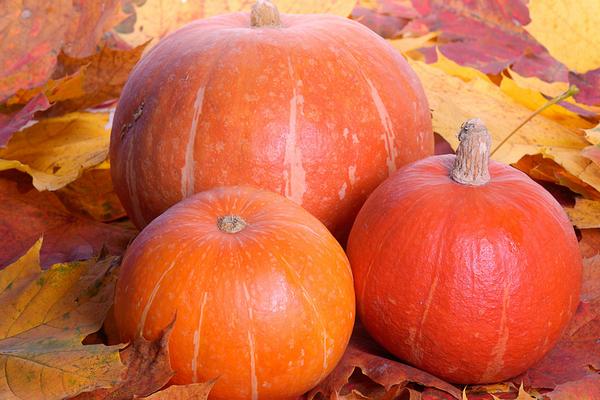 夢見南瓜是什么意思