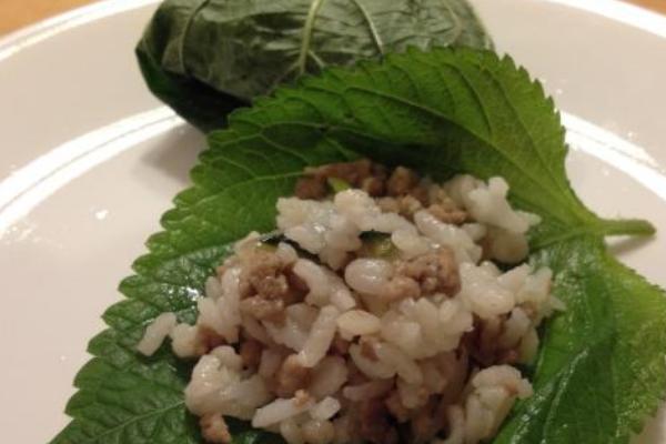 紫蘇葉孕婦可以吃嗎