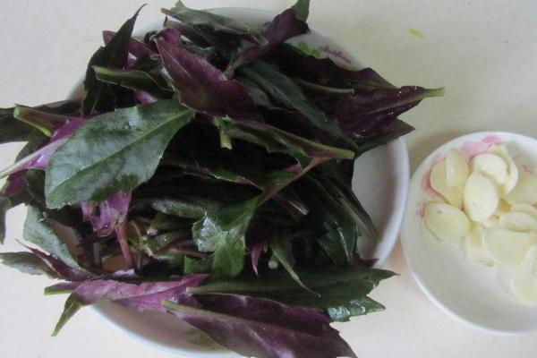 紫蘇葉孕婦可以吃嗎