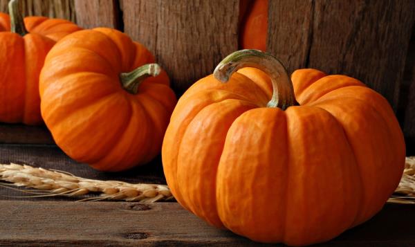 南瓜為什么叫南瓜