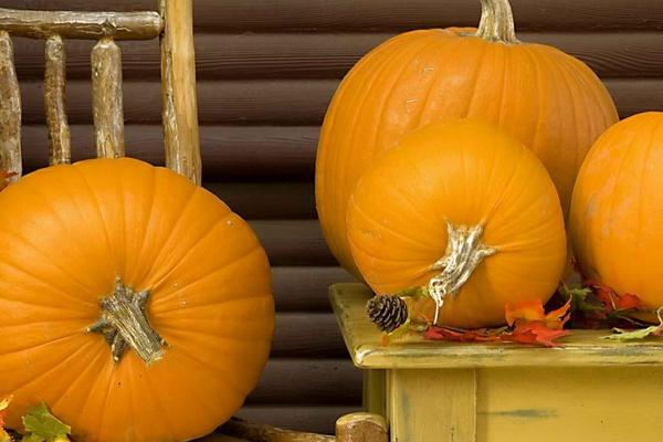 南瓜可以生吃嗎