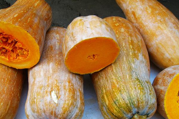 南瓜可以生吃嗎