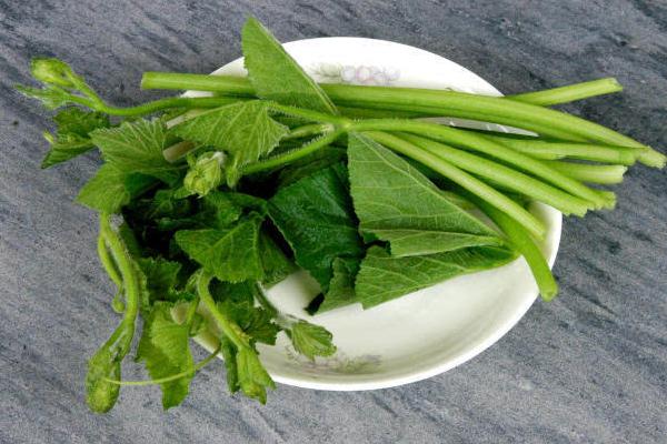 南瓜葉的功效與作用及禁忌