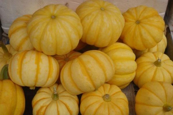 長(zhǎng)得像南瓜的水果是什么