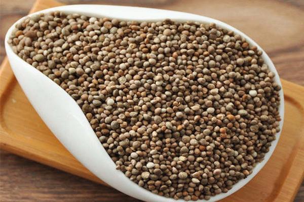 紫蘇種子市場價格多少錢一斤