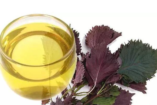 紫蘇油市場價格多少錢一斤