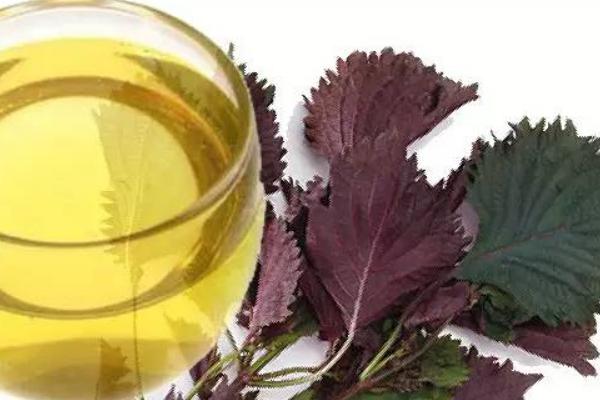 紫蘇油和亞麻籽油哪個更好