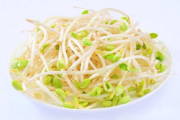 綠豆芽市場(chǎng)價(jià)格多少錢(qián)一斤