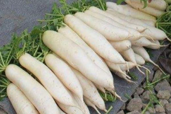 涼拌蘿卜皮怎么做 蘿卜皮涼拌做法大全