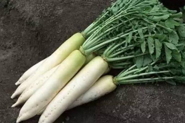 涼拌蘿卜皮怎么做 蘿卜皮涼拌做法大全