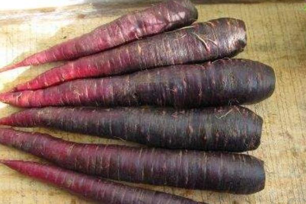 紫蘿卜是轉基因的嗎 紫蘿卜和普通蘿卜的區別是什么