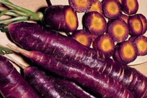 紫蘿卜孕婦可以吃嗎 紫蘿卜食用禁忌