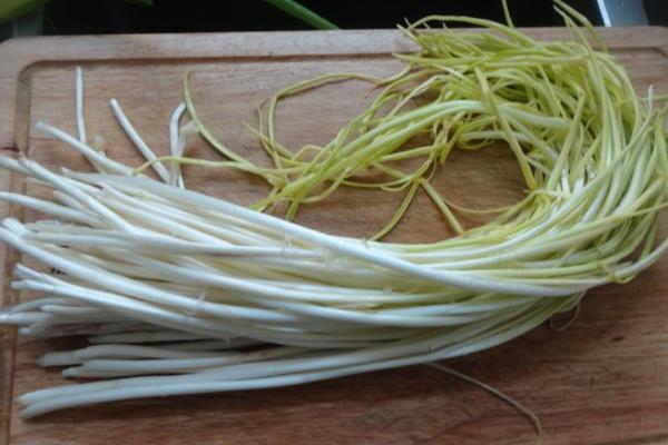 韭黃和蒜黃的區別是什么 韭黃的鑒別方法