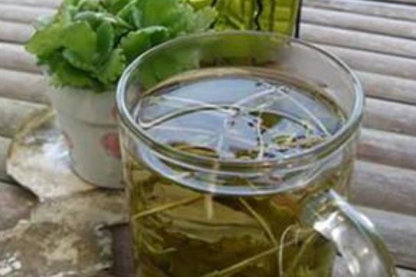 馬莧菜煮水喝的功效與作用