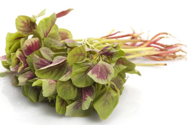 紅莧菜補血嗎 吃紅莧菜有什么好處