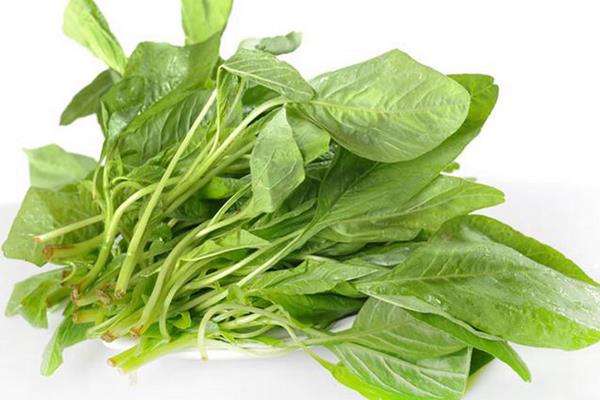 莧菜什么時(shí)候上市 莧菜是什么季節(jié)的蔬菜