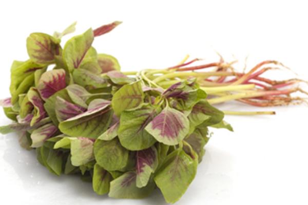 莧菜什么時(shí)候上市 莧菜是什么季節(jié)的蔬菜