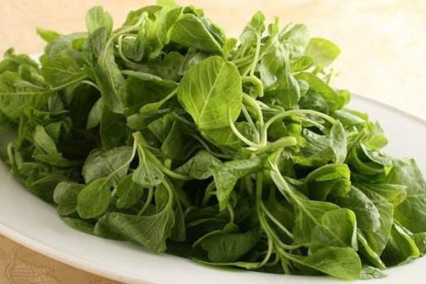 莧菜什么時(shí)候上市 莧菜是什么季節(jié)的蔬菜