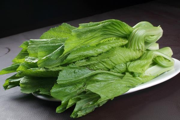 芥菜圖片大全 芥菜是什么菜