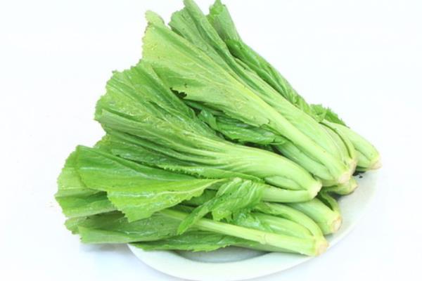 芥菜圖片大全 芥菜是什么菜