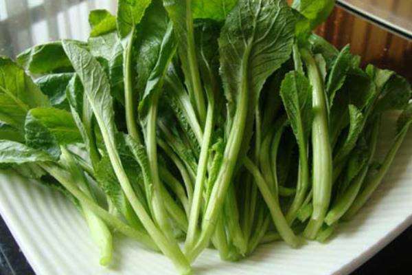 芥菜圖片大全 芥菜是什么菜