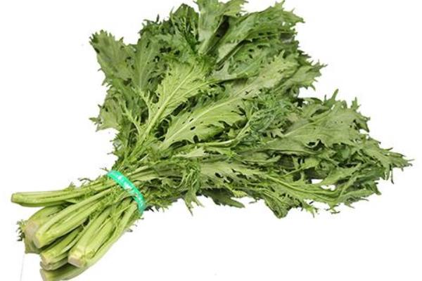 芥菜圖片大全 芥菜是什么菜