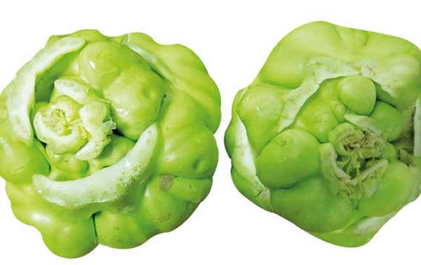 芥菜圖片大全 芥菜是什么菜