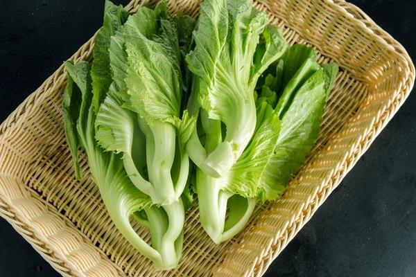 芥菜圖片大全 芥菜是什么菜