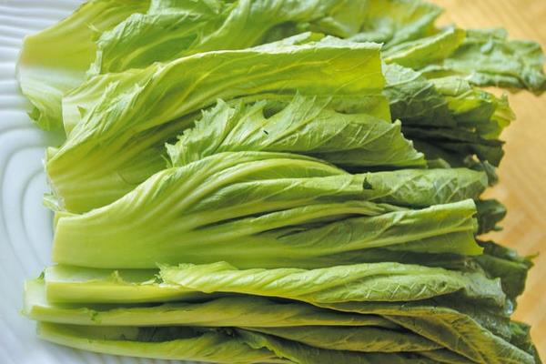 芥菜圖片大全 芥菜是什么菜