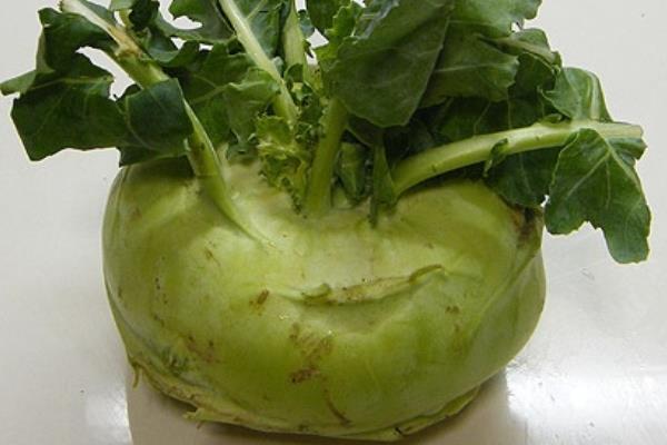 芥菜頭市場價格多少錢一斤