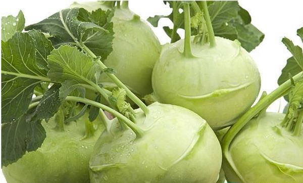 芥菜頭市場(chǎng)價(jià)格多少錢一斤