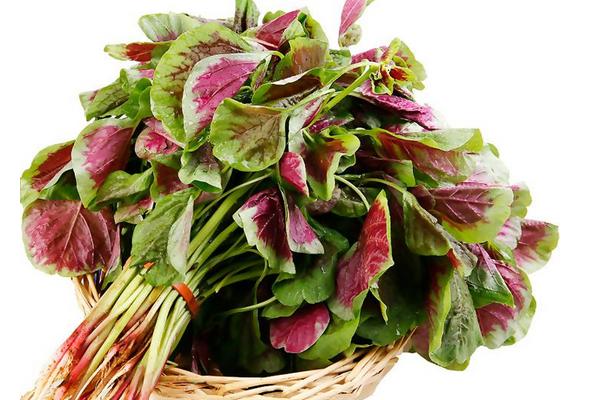 莧菜怎么炒 野莧菜的吃法