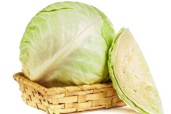 甘藍(lán)菜與圓白菜的區(qū)別是什么