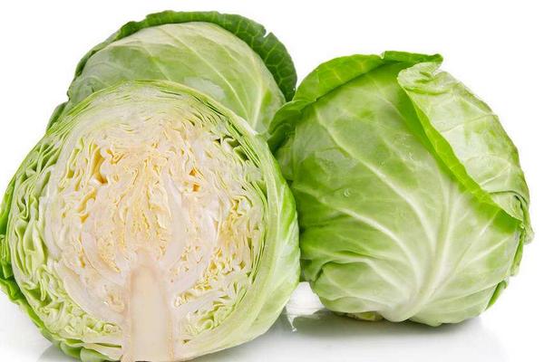 甘藍(lán)菜與圓白菜的區(qū)別是什么
