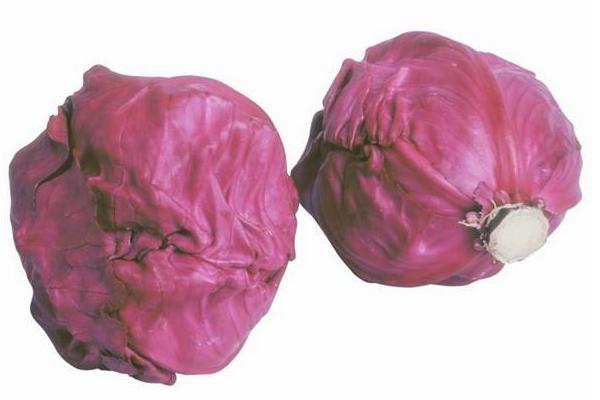 甘藍(lán)菜與圓白菜的區(qū)別是什么