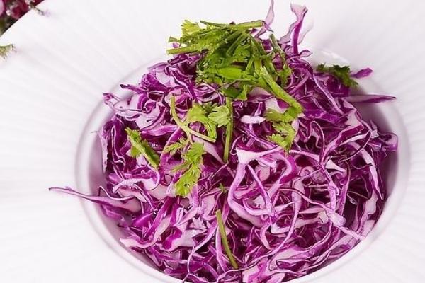 甘藍(lán)菜與圓白菜的區(qū)別是什么