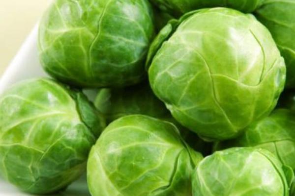 甘藍(lán)菜是包菜嗎 甘藍(lán)菜和包菜的區(qū)別是什么