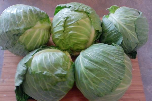 甘藍菜的做法 甘藍菜家常怎么做好吃