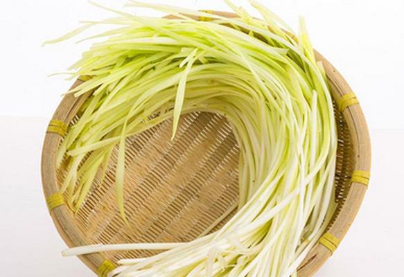 韭黃市場(chǎng)價(jià)格多少錢(qián)一斤