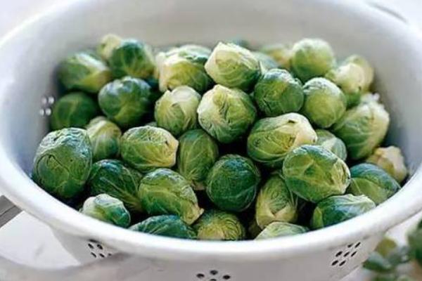 抱子甘藍價格多少錢一斤