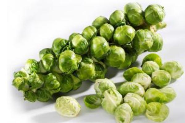 抱子甘藍價格多少錢一斤