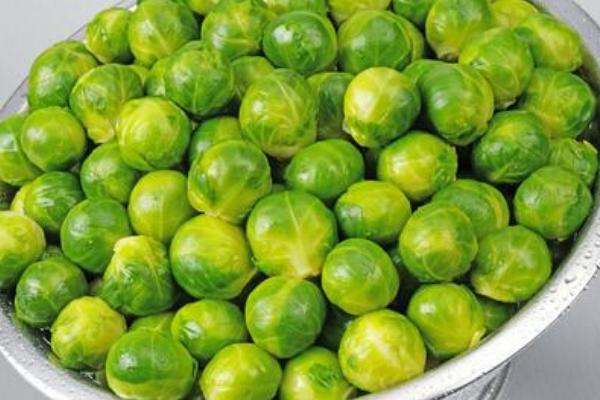 抱子甘藍價格多少錢一斤