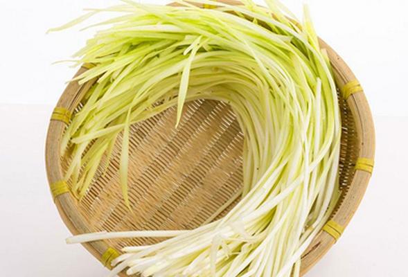 韭黃和韭菜有什么區別 韭黃是韭菜嗎