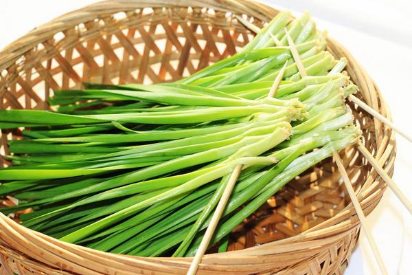 韭黃和韭菜有什么區別 韭黃是韭菜嗎