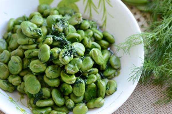 茴香菜的功效與作用及禁忌茴香菜營養價值