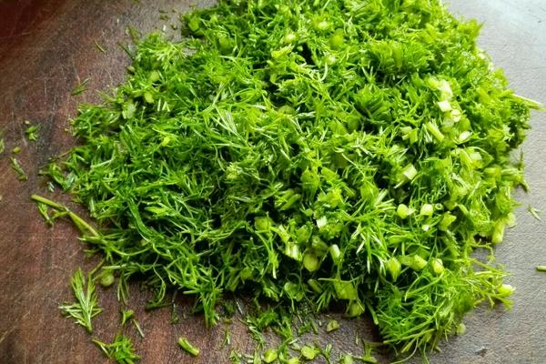 茴香菜的功效與作用及禁忌茴香菜營養價值