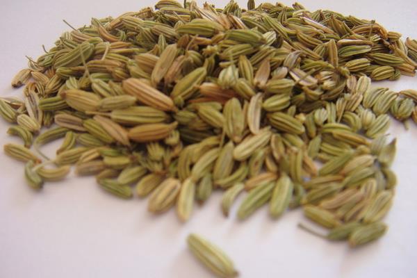 小茴香和孜然的區別是什么