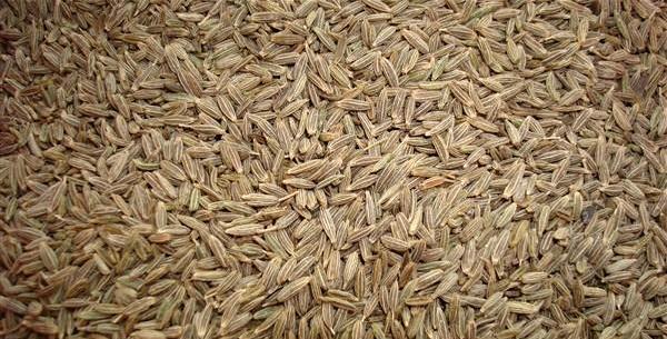 小茴香和孜然的區別是什么